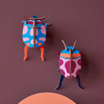 STUDIOROOF Kit Couple coccinelle Multicolore