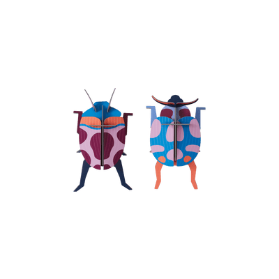STUDIOROOF Kit Couple coccinelle Multicolore