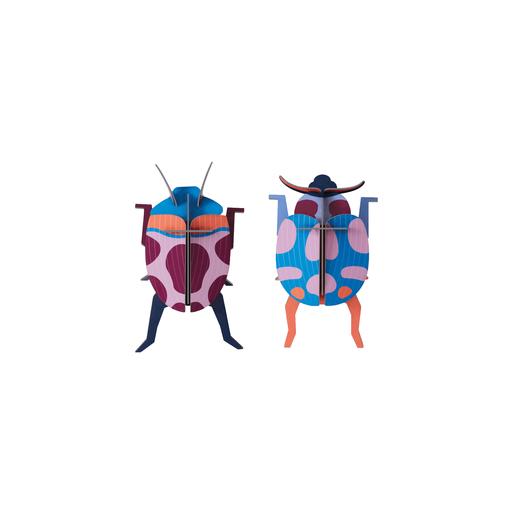 STUDIOROOF Kit Couple coccinelle Multicolore