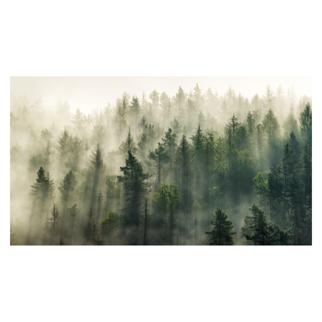 Tableau FOREST coloris vert