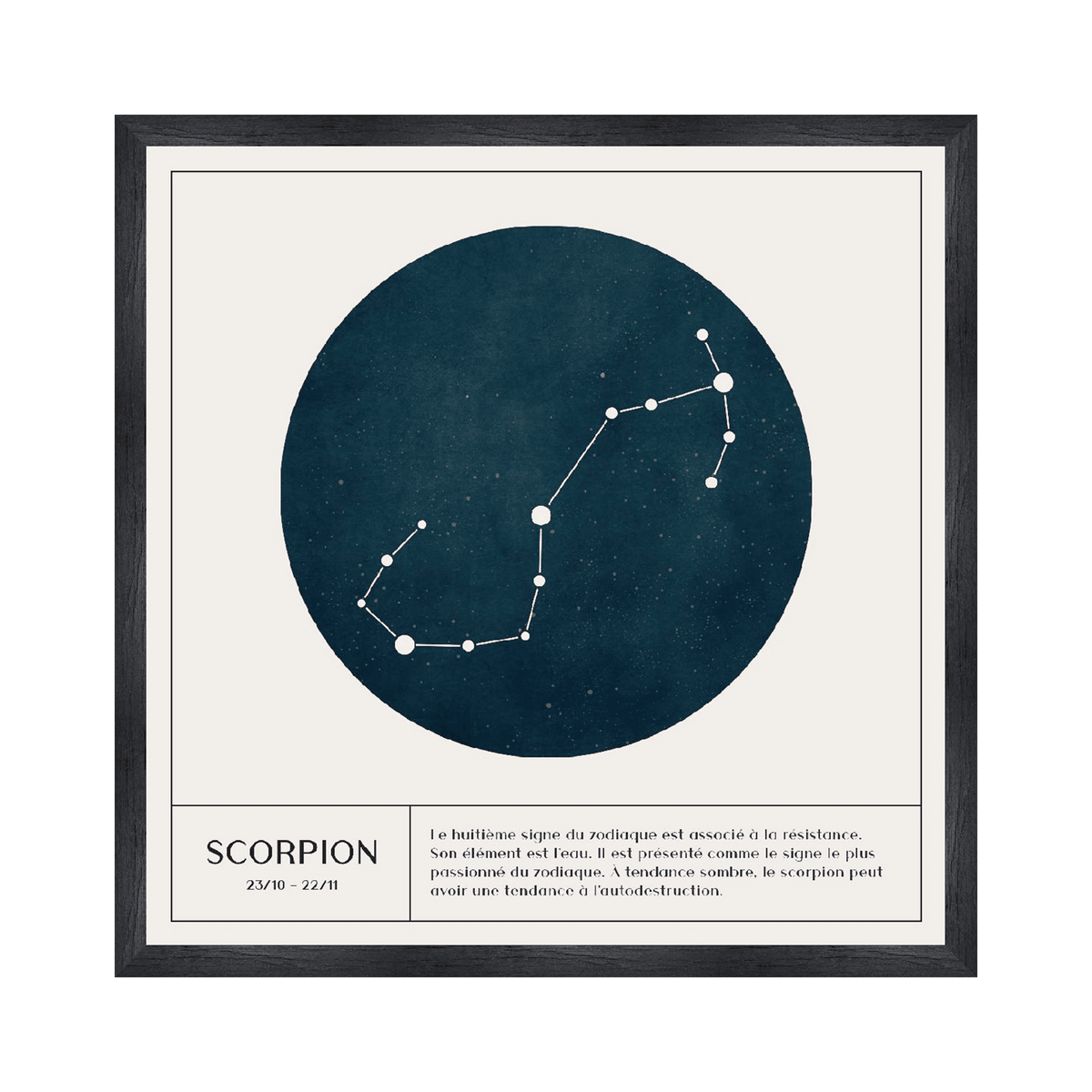 4MURS Tableau Scorpion Blanc