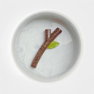 Accessoire animaux Bol branche Blanc
