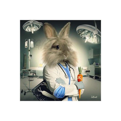 Tableau Binet lapin infirmier Noir