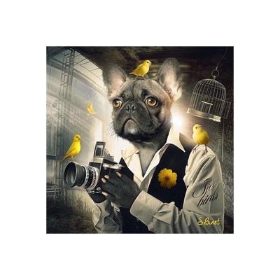 Tableau Binet chien photo Noir