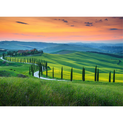 Papier peint panoramique XL Panja Multicolore Satiné
