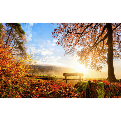 Papier peint panoramique XL Autumn Été indien Satiné