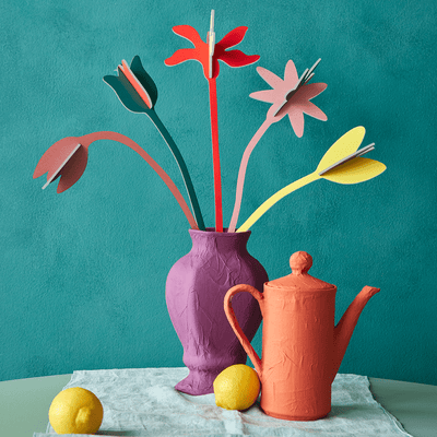 STUDIOROOF Kit Abondance de fleurs Multicolore