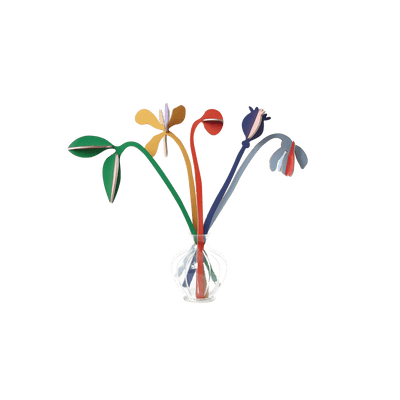 STUDIOROOF Kit Les jardins d'agnès Multicolore