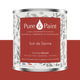 PURE AND PAINT Peinture Pure and paint Soir de sienne Mat