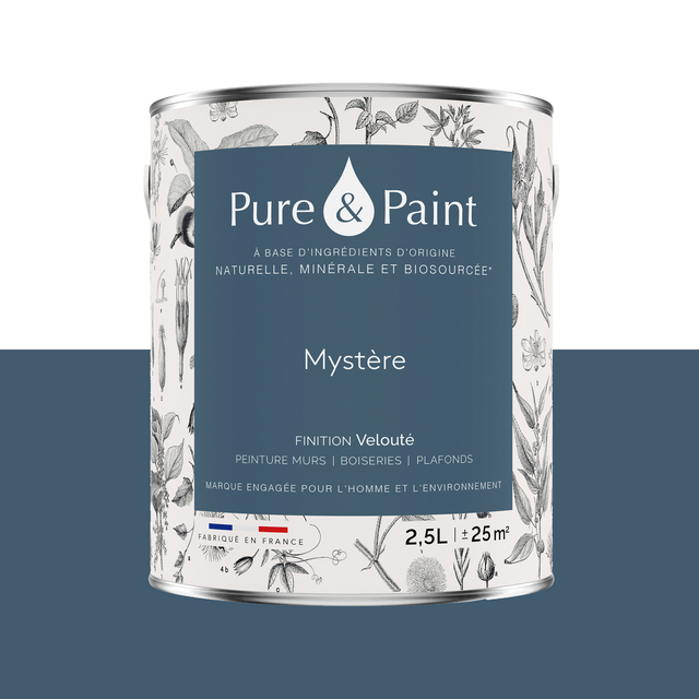Pure and Paint Peinture Peinture Mystère