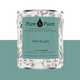PURE AND PAINT Peinture Pure and paint Vert de gris Mat