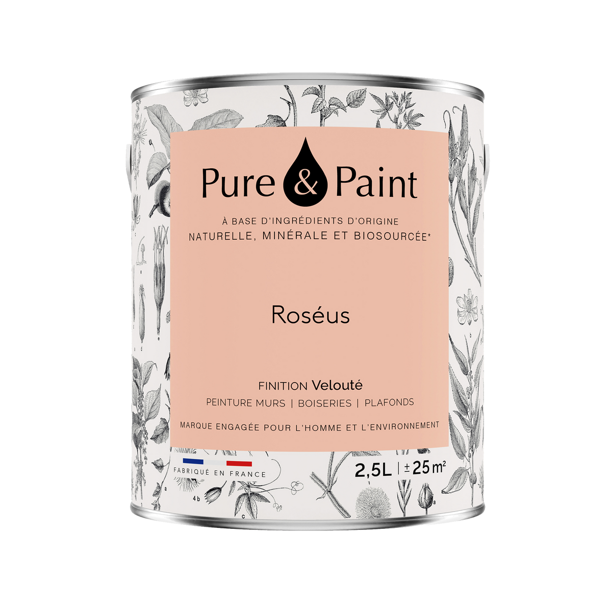 PURE AND PAINT Peinture Pure and paint Roséus Mat