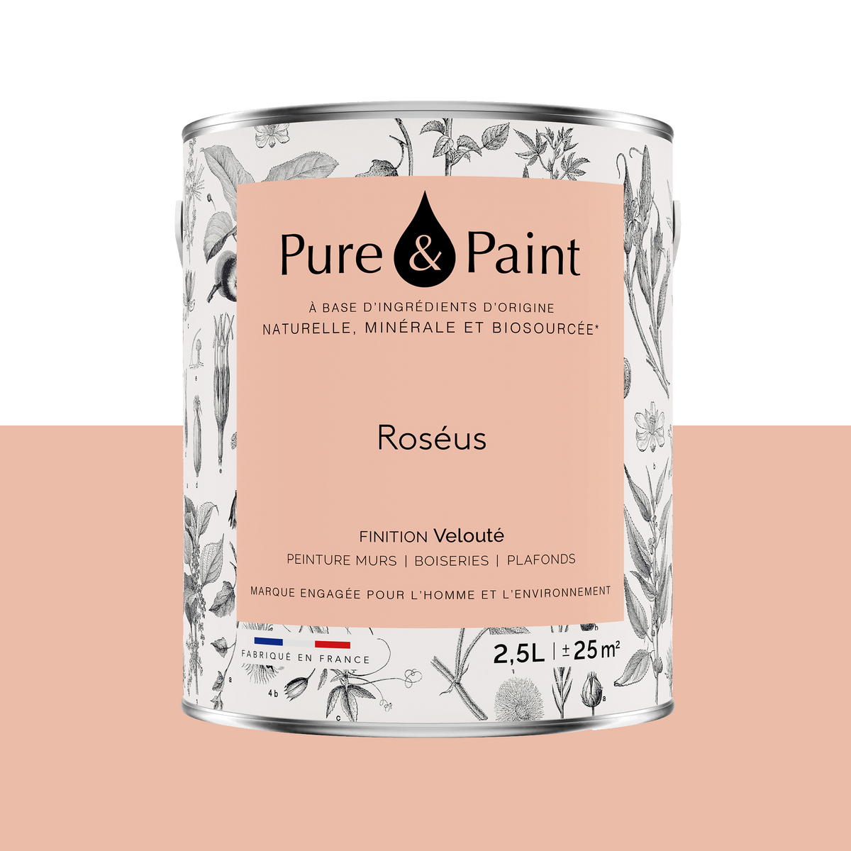 PURE AND PAINT Peinture Pure and paint Roséus Mat