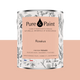 PURE AND PAINT Peinture Pure and paint Roséus Mat