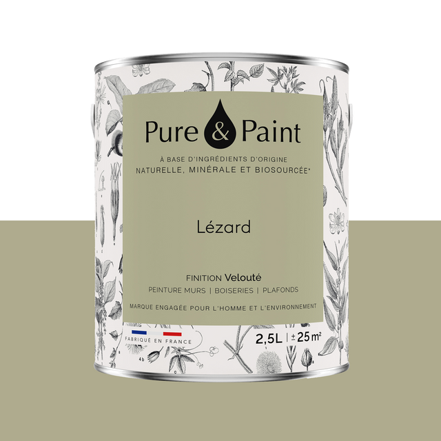 Pure and Paint Peinture Peinture LÉZARD 2,5 L