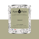 PURE AND PAINT Peinture Pure and paint Lézard Mat