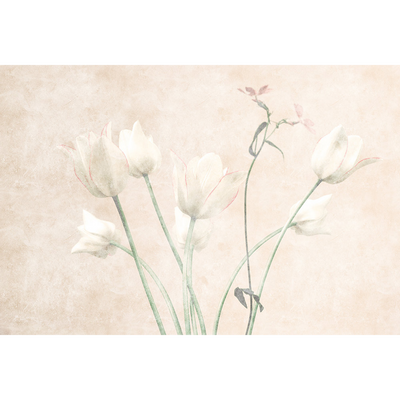 Papier peint panoramique XL Fiori Sable beige Brillant