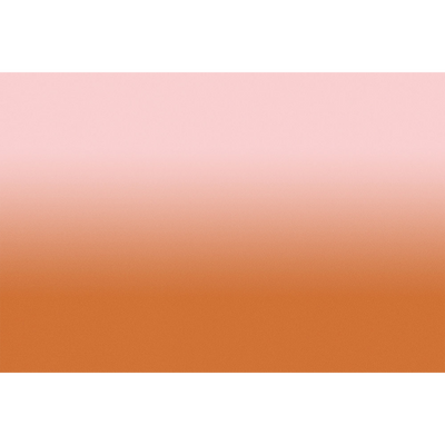 Papier peint panoramique XL Myriel Terre battue et rose Brillant