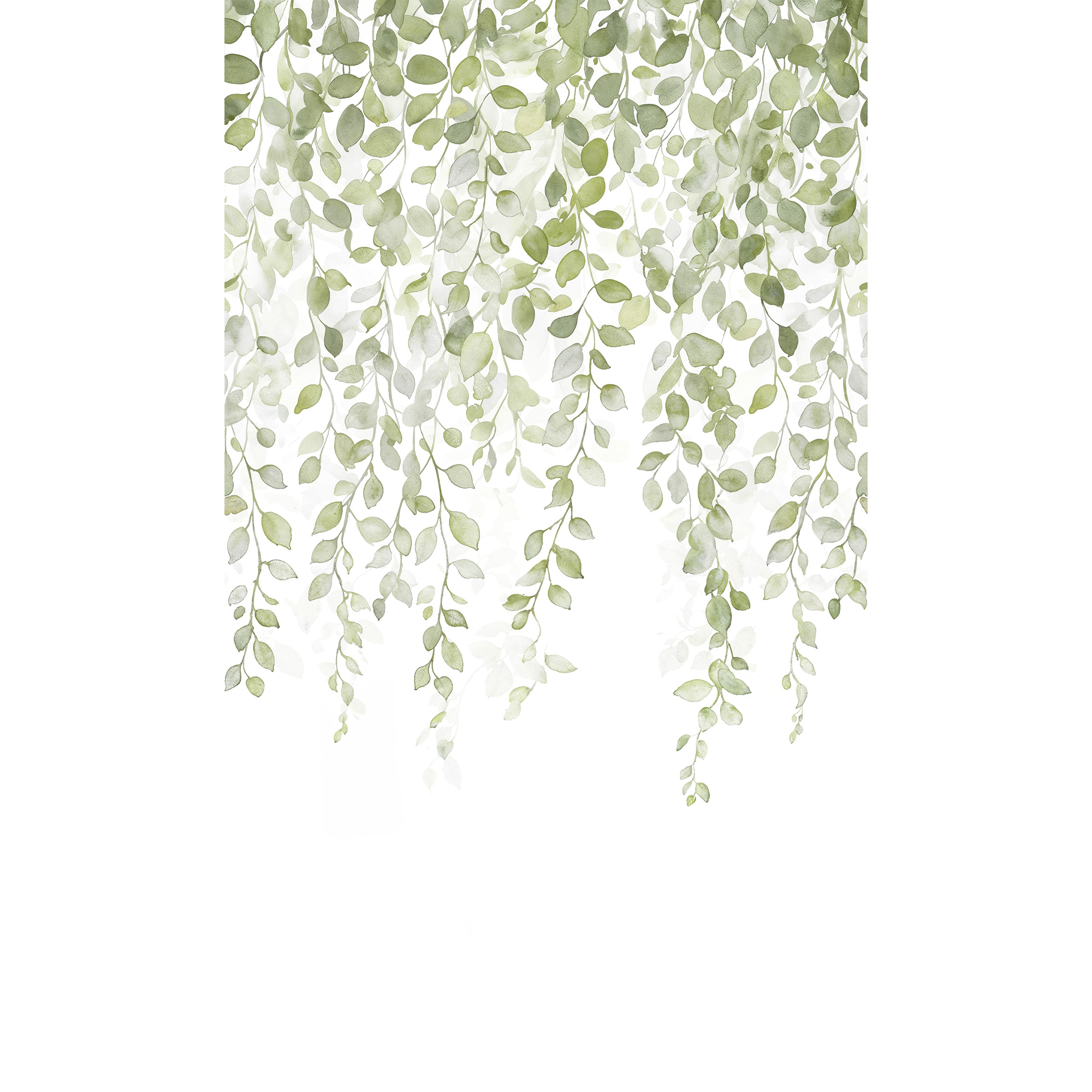 4MURS Papier peint panoramique L Allegra Vert feuille Satiné