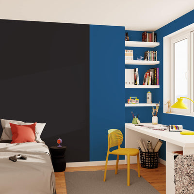 SAPHYR Peinture Saphyr Noir Satiné 2,5L