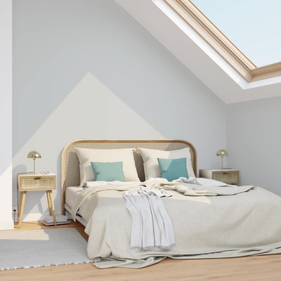 ABSOLU Peinture Absolu Fusain Mat 2,5L