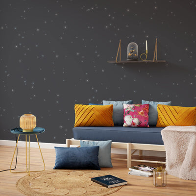 POUSSIÈRE D'ÉTOILES Peinture Poussière d'étoiles Polaris Mat 2L