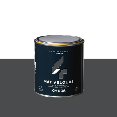 ABSOLU Peinture Absolu Fonte Mat 0,5L