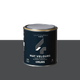 ABSOLU Peinture Absolu Fonte Mat 0,5L