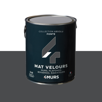 ABSOLU Peinture Absolu Fonte Mat 2,5L