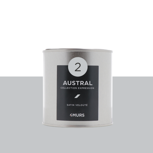 Expression Peinture Finition Peinture austral Satiné 0,5 L