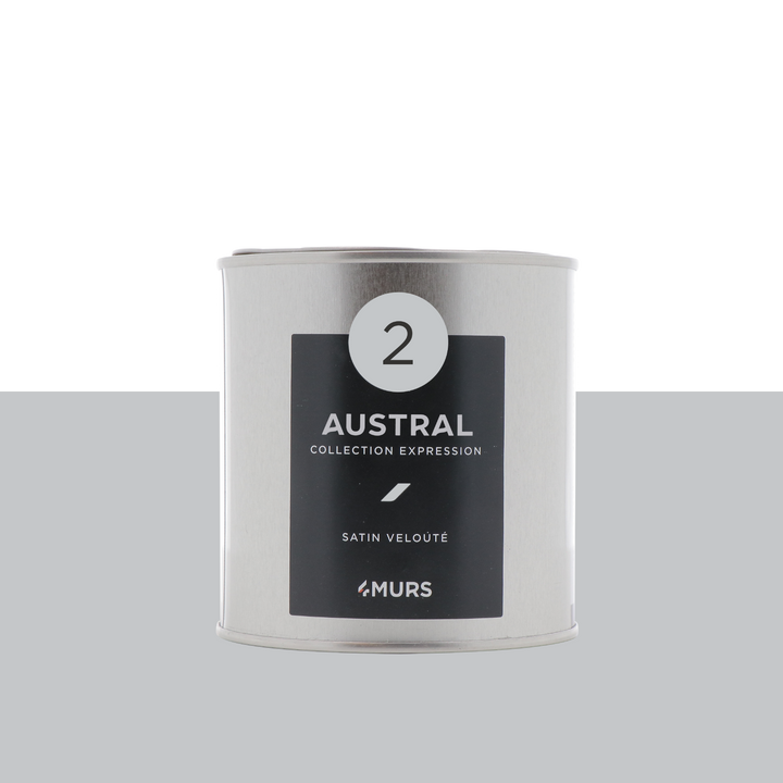 EXPRESSION Peinture Expression Austral Satiné 0,5L