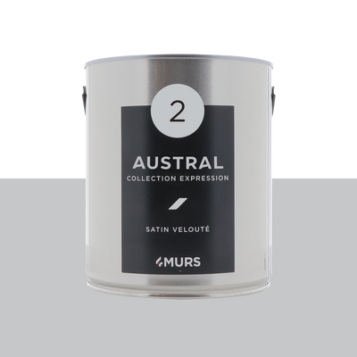 EXPRESSION Peinture Expression Austral Satiné 2,5L