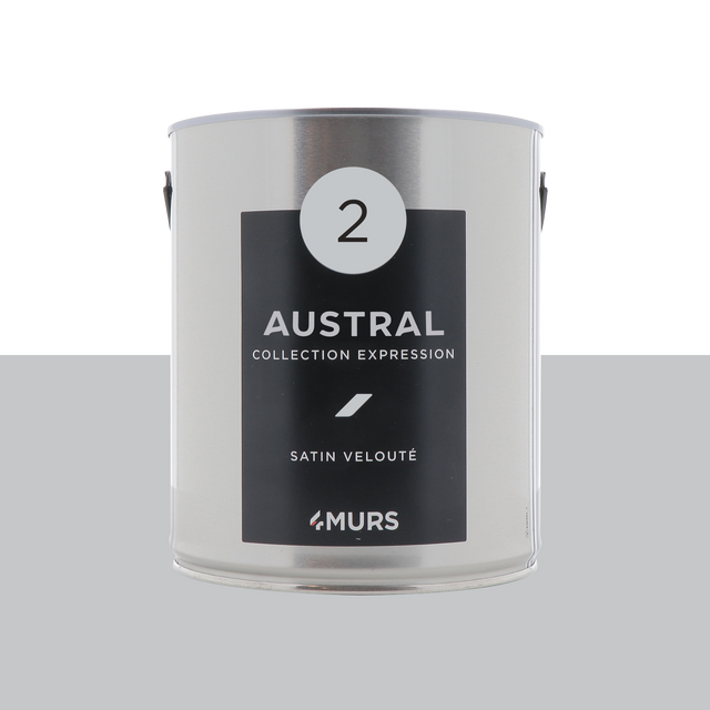 Expression Peinture Multi-supports Peinture austral Satiné