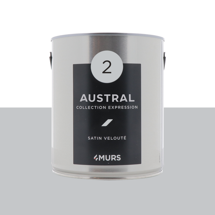 EXPRESSION Peinture Expression Austral Satiné 2,5L