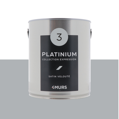 EXPRESSION Peinture Expression Platinium Satiné 2,5L