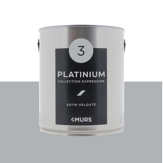 Expression Peinture Multi-supports Peinture platinium Satiné