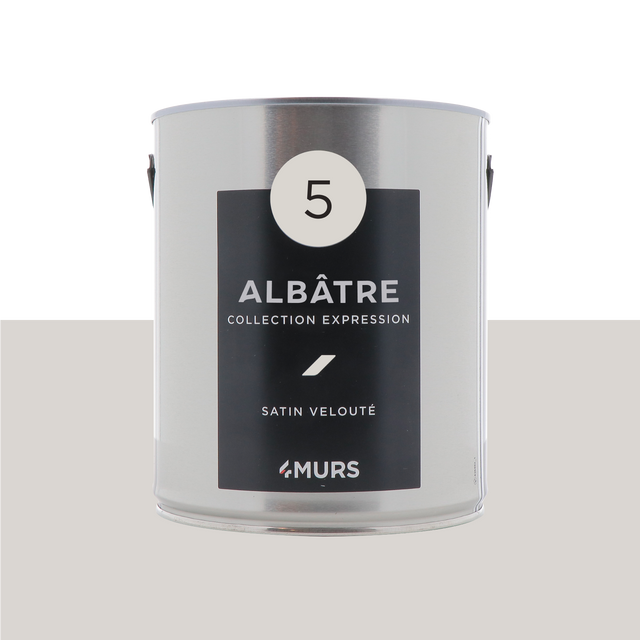 Expression Peinture Multi-supports Peinture blanc albâtre Satiné