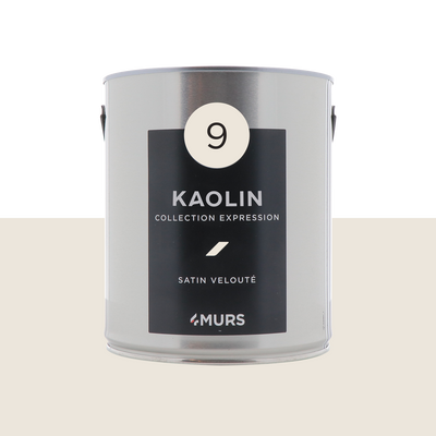 EXPRESSION Peinture Expression Blanc kaolin Satiné 2,5L