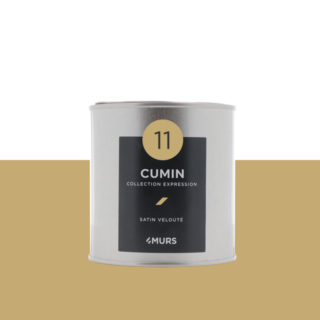 Expression Peinture Finition Peinture cumin Satiné 0,5 L
