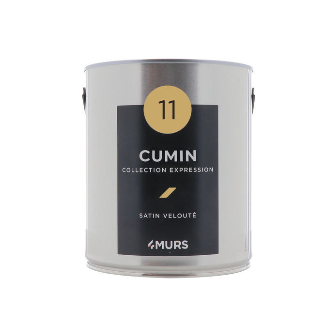 Expression Peinture Multi-supports Peinture cumin Satiné