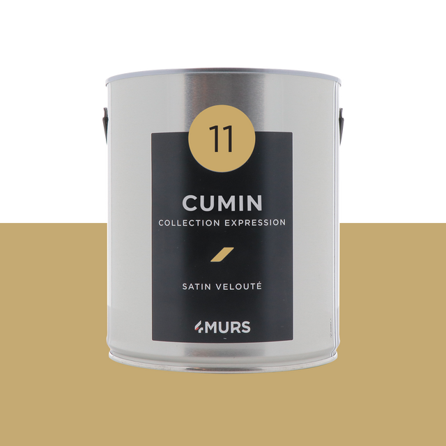 Expression Peinture Multi-supports Peinture cumin Satiné