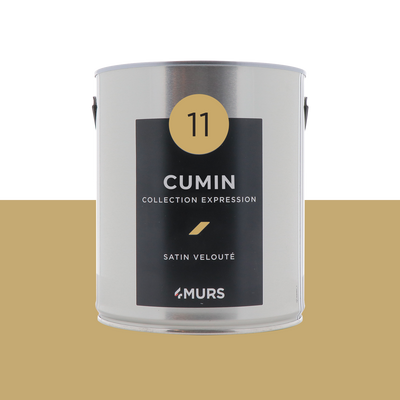 EXPRESSION Peinture Expression Cumin Satiné 2,5L