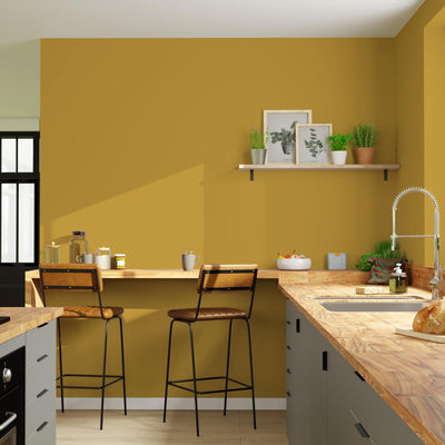 EXPRESSION Peinture Expression Curry Satiné 2,5L