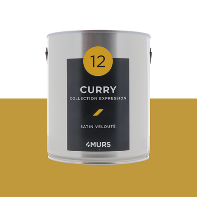 EXPRESSION Peinture Expression Curry Satiné 2,5L
