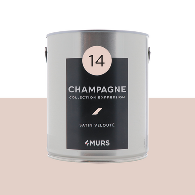 EXPRESSION Peinture Expression Pink champagne Satiné 2,5L