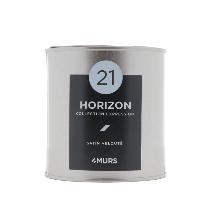 Expression Peinture Finition Peinture horizon Satiné 0,5 L