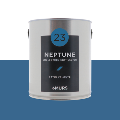 EXPRESSION Peinture Expression Neptune Satiné 2,5L