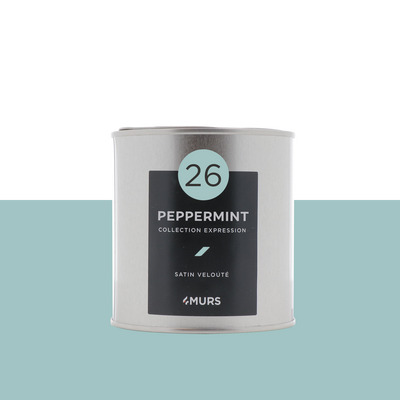 EXPRESSION Peinture Expression Peppermint Satiné 0,5L
