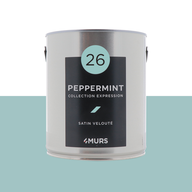 Expression Peinture Multi-supports Peinture peppermint Satiné