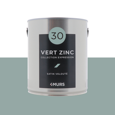 EXPRESSION Peinture Expression Vert zinc Satiné 2,5L